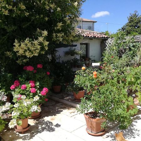 B&B Le Ortensie Castagnole Exterior foto