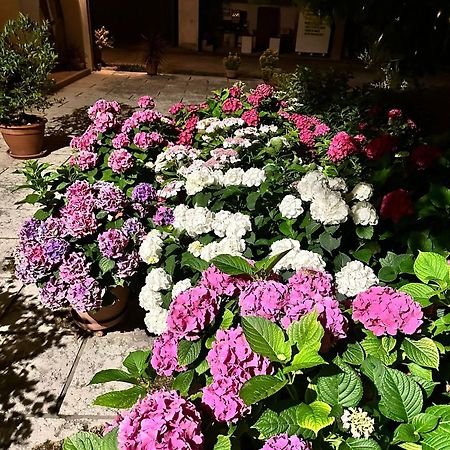 B&B Le Ortensie Castagnole Exterior foto