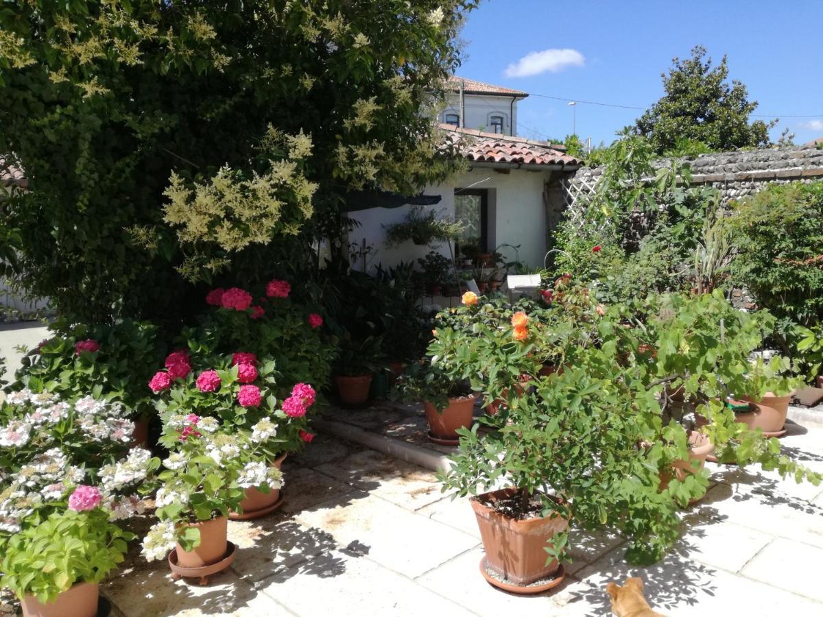 B&B Le Ortensie Castagnole Exterior foto