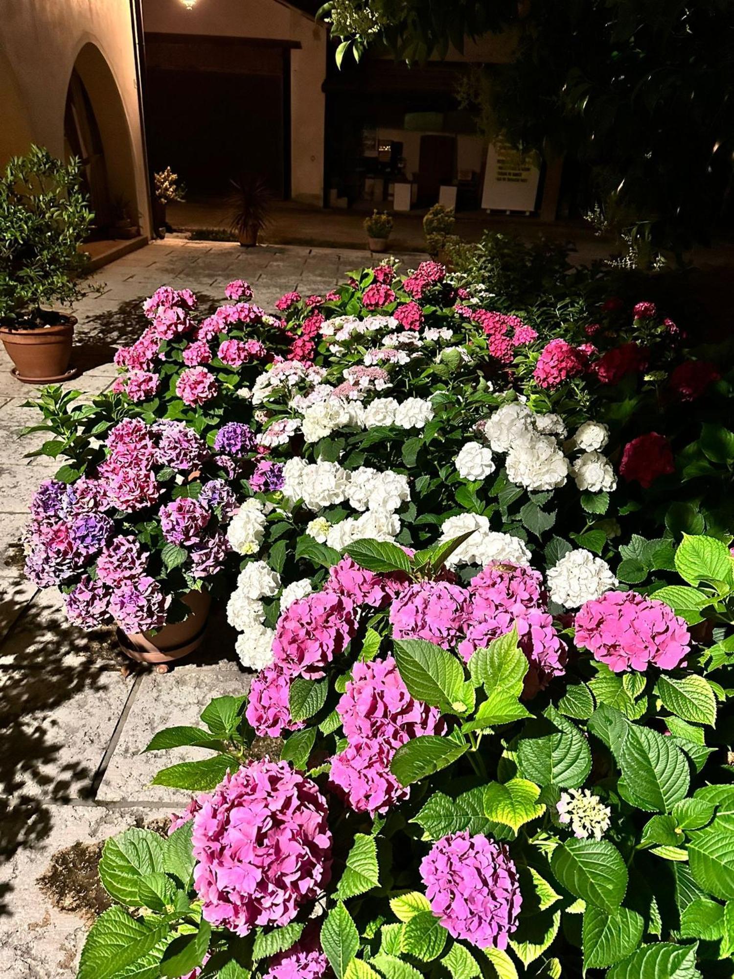B&B Le Ortensie Castagnole Exterior foto